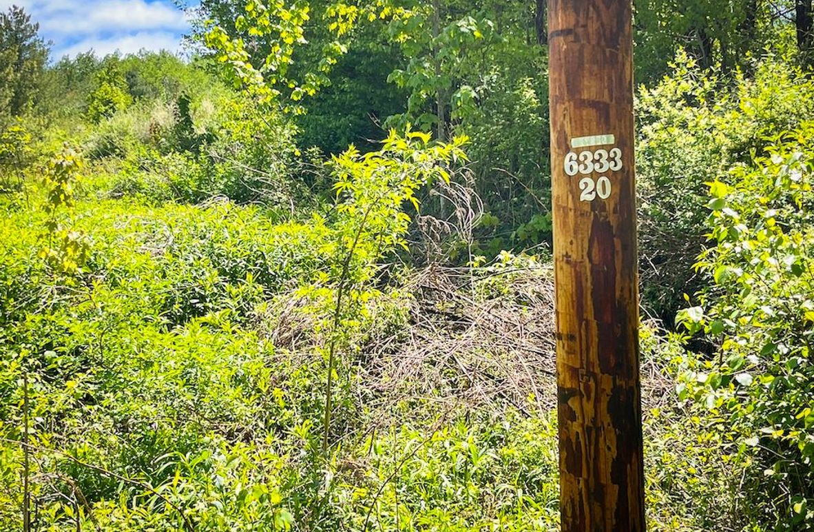 Tioga_28.322_VanNordstrand_Photos_3