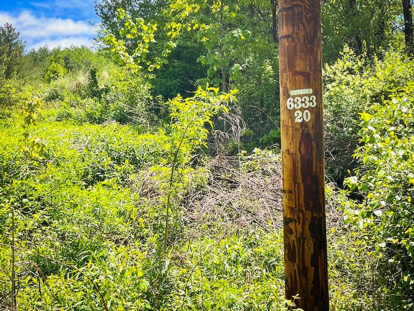 Tioga_28.322_VanNordstrand_Photos_3