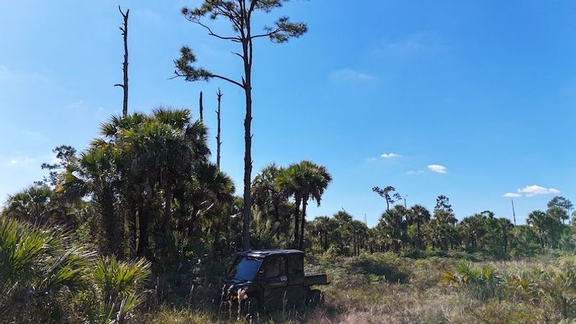 DJI_20251119125546_0005_D