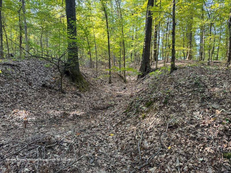 DeSoto 109 Prewett -38