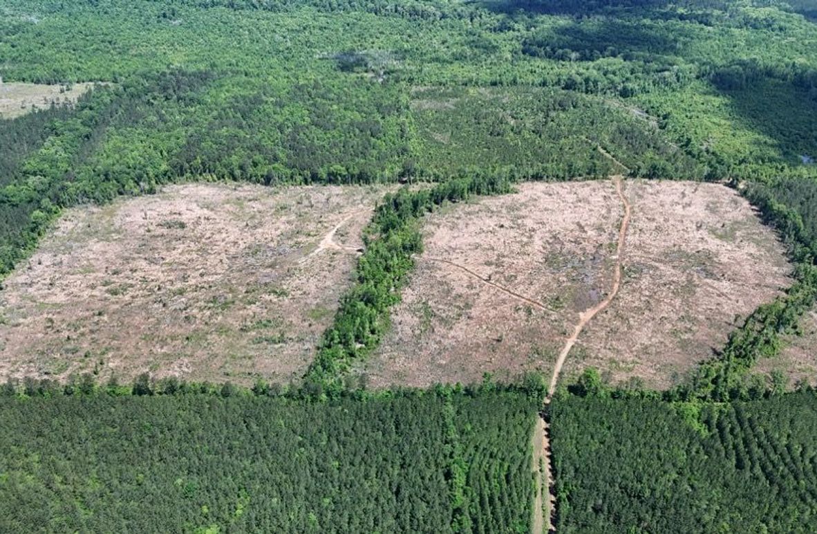 DJI_20250504003653_0464_D