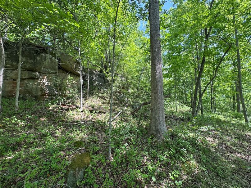 Calhoun, WV 29 AC Minney-24