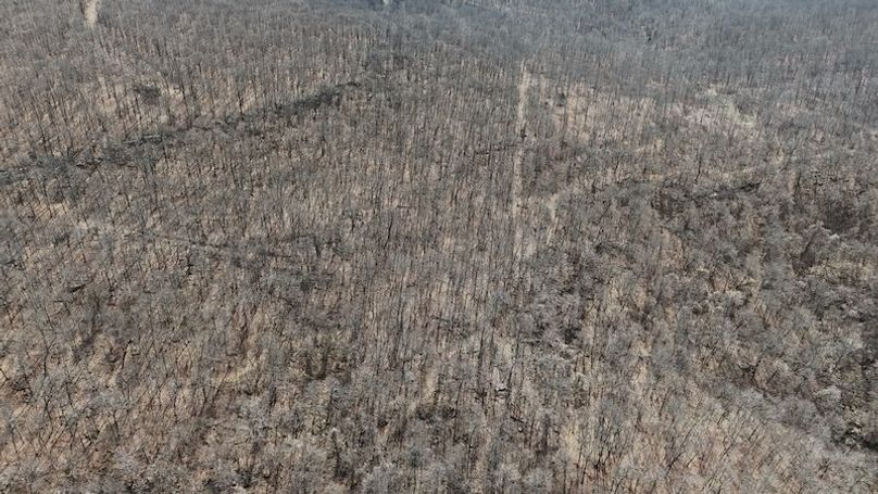 stone8020260307_0057