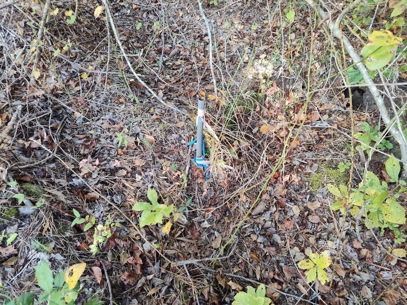 IMG_20231022_133707946