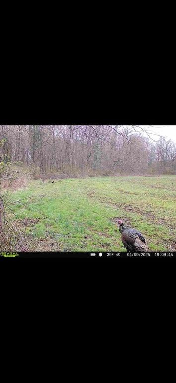 Screenshot 2026-02-12 at 10.48.15 AM