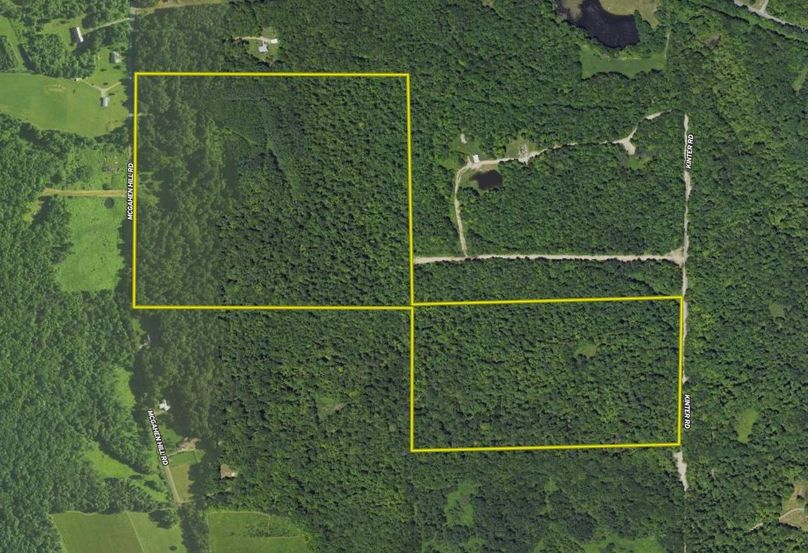 Screen Shot 2023-11-22 at 12.17.24 PM