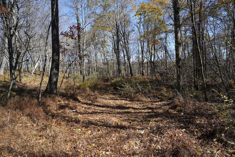 Somerset, 10.91, Tinkey-39