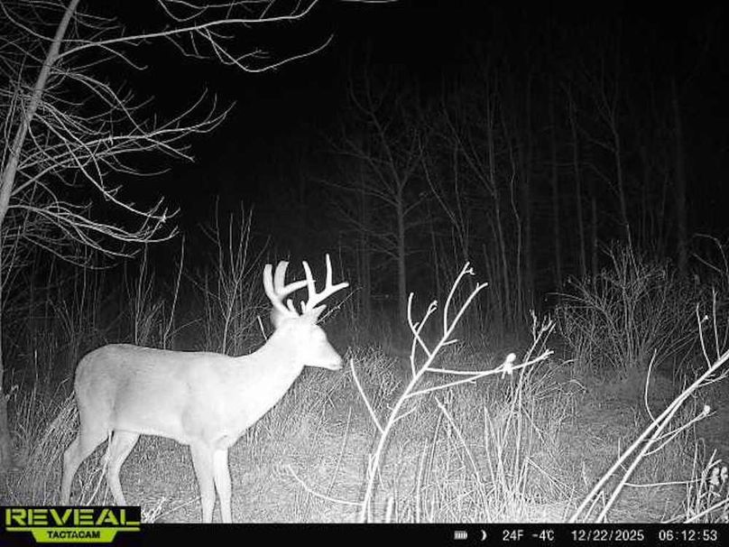 864049051945600-60-1-12222025061252-W1000213