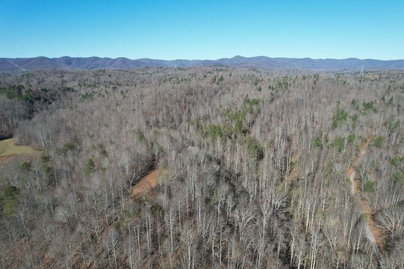 DJI_0235