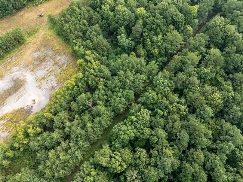 Panola Co. 40ac - Rouse-13