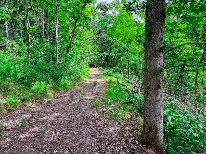 Wirt, WV 137.45 AC Full-41