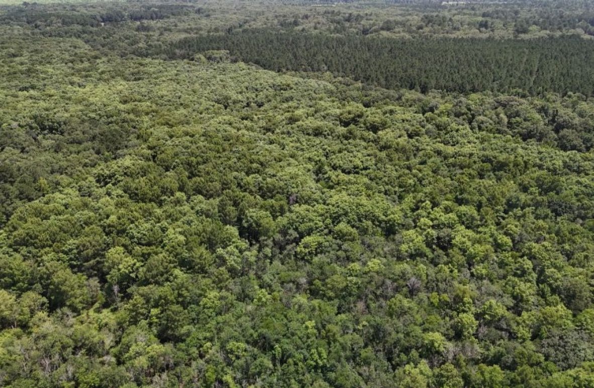 DJI_20250620032049_0639_D