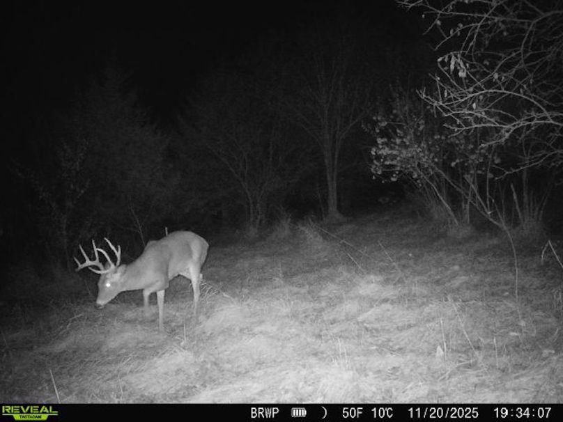 860322065924133-100-4-11202025193406-W1001249