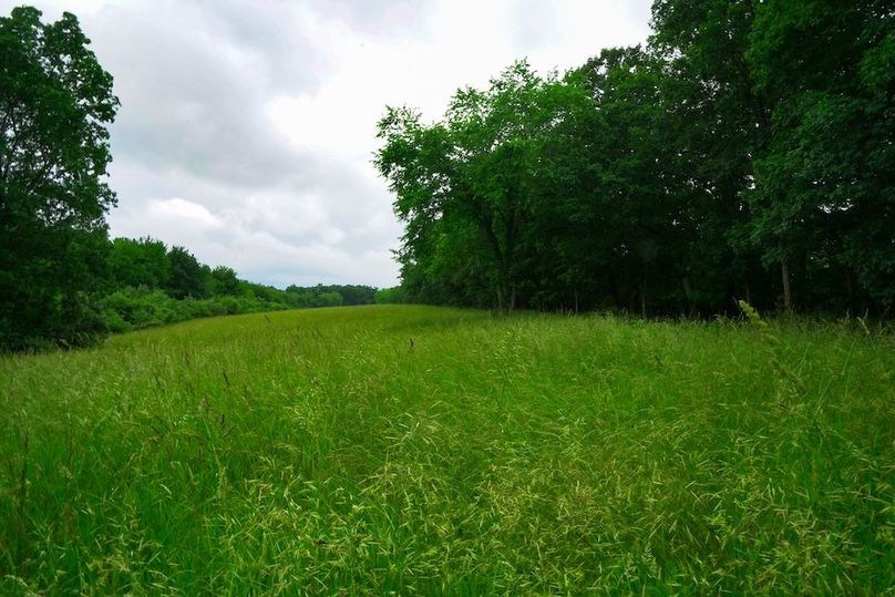 Bedford,121,Beegle-31