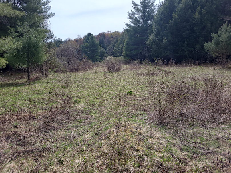 photo_2efce8ed-c755-455b-b054-2e305d0f05e5