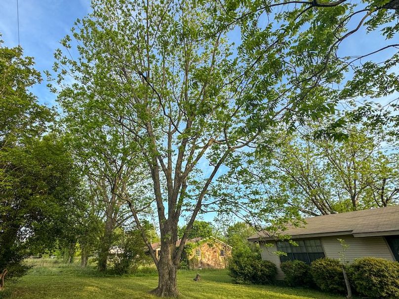 Phillips .5 Stokes -14