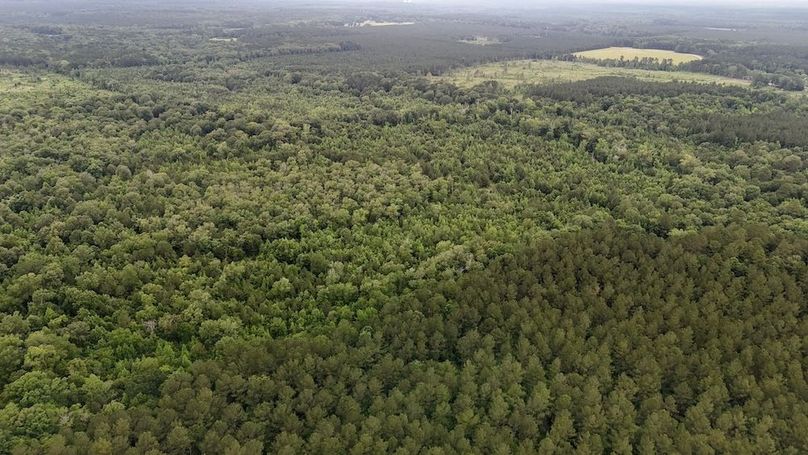 Copy of DJI_20250529231100_0547_D