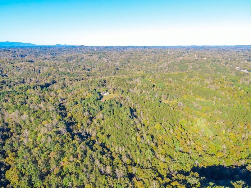 dji_fly_20241010_164728_910_1728593318495_photo