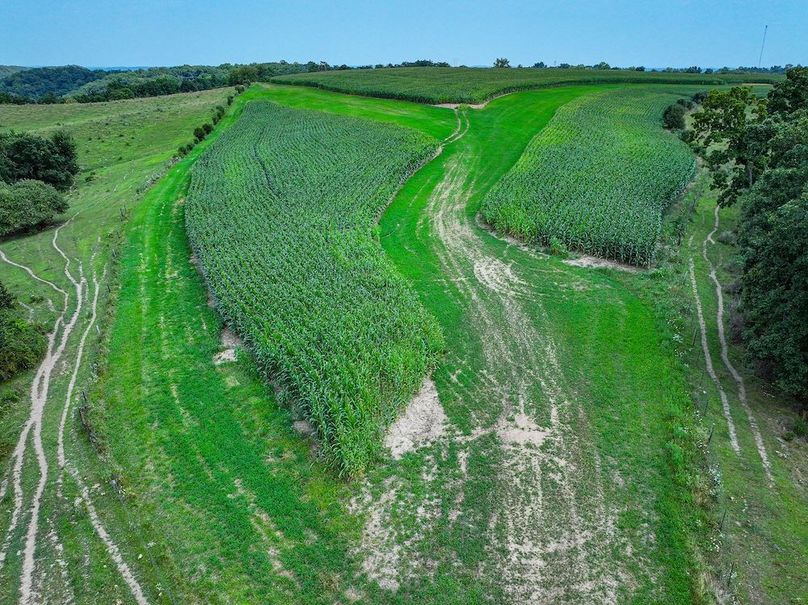 New Albin 8_8 edits-20