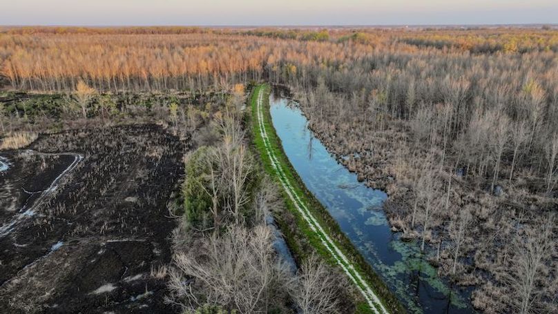 Panola 164.7 SPI Land Ventures-42