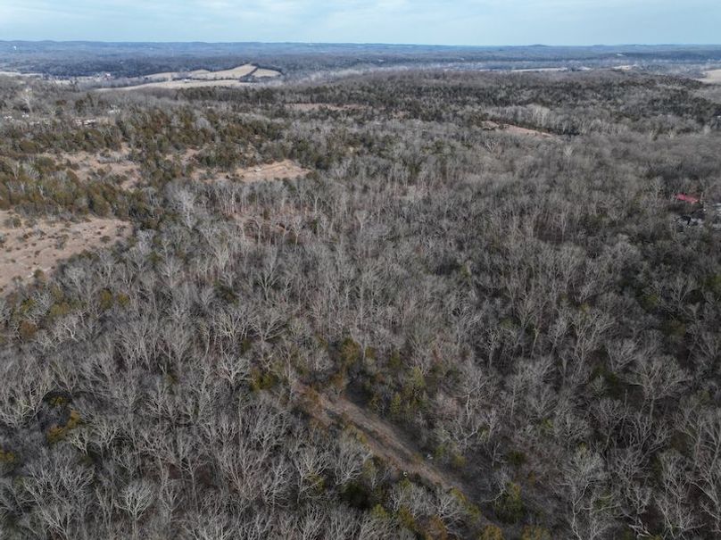 DJI_20240204151941_0017_D