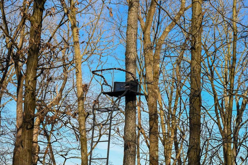 vandalia 450 (2)-2207