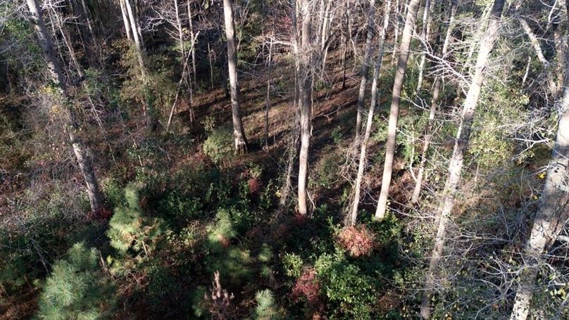 DJI_20251209145852_0022_D