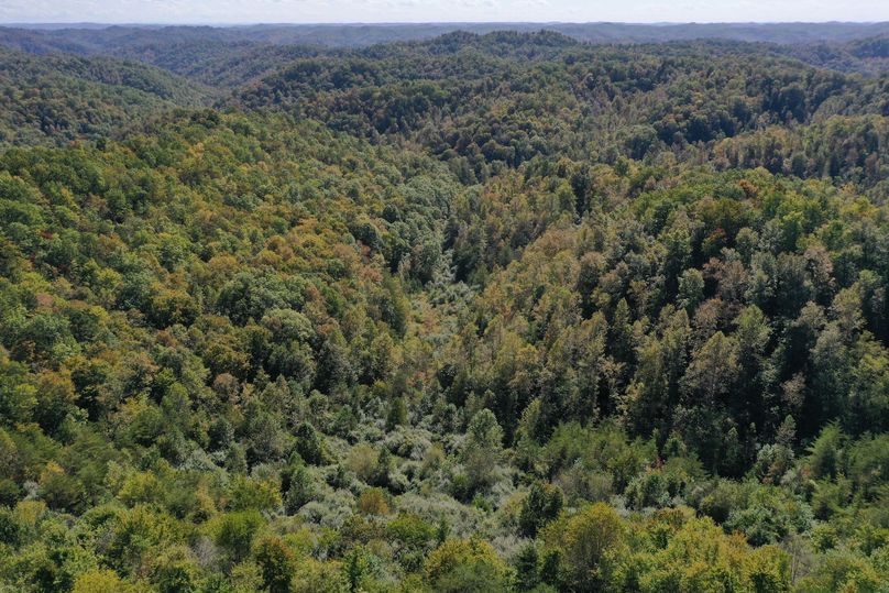 013 aerial drone shot from the north boundary looking south down the valley