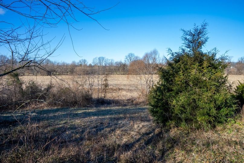 Copy of DSC00672 Large