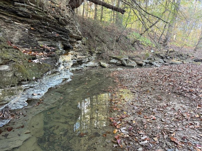 018 nice rock face along the stream