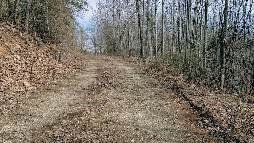 DJI_20260217122215_0129_D