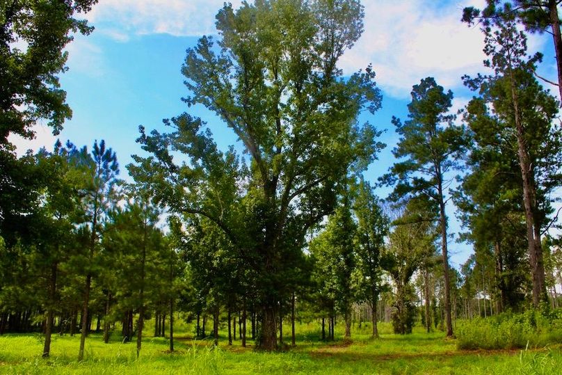 52E7D2F5-6A06-468C-B34C-6444FAC21E03_1_105_c