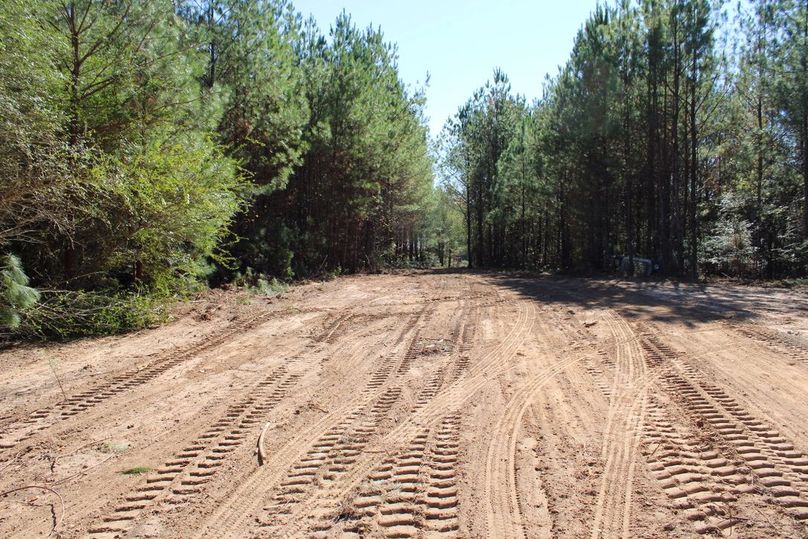 571A7963-949A-4B55-99B9-1B734B47EEED_1_105_c