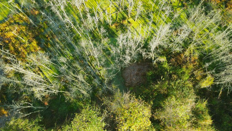 DJI_0208