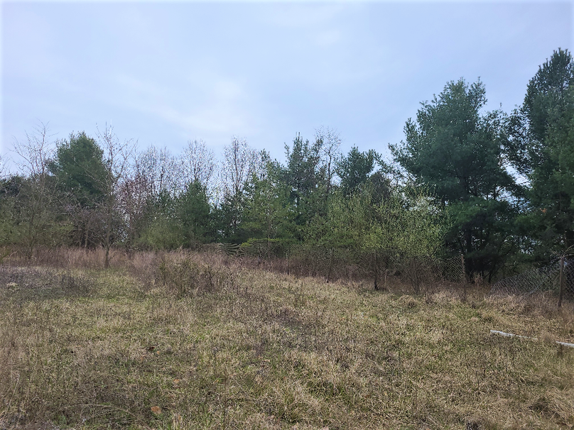 2.87ac_CokesburyRd_CECIL_PIC_009