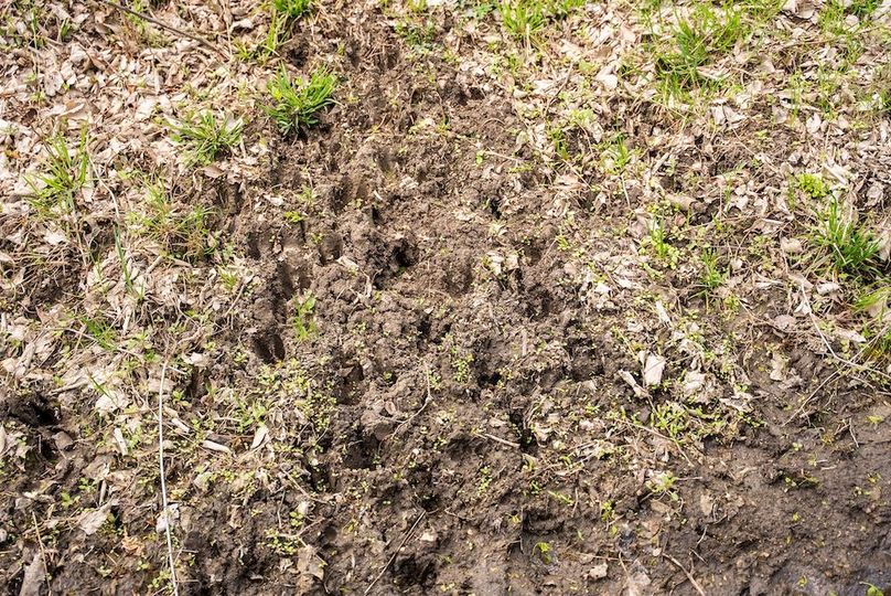 WabaunseeKansas887.39-105