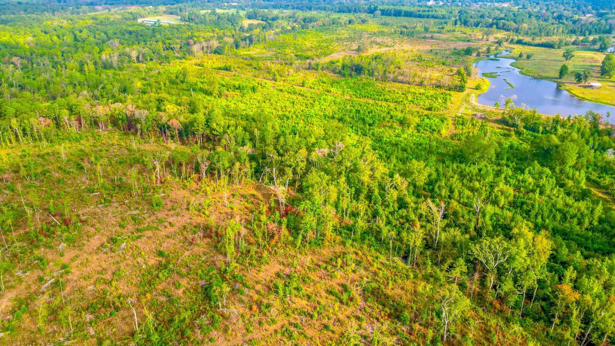 Recreational Property Near Timpson, Texas Whitetail Properties