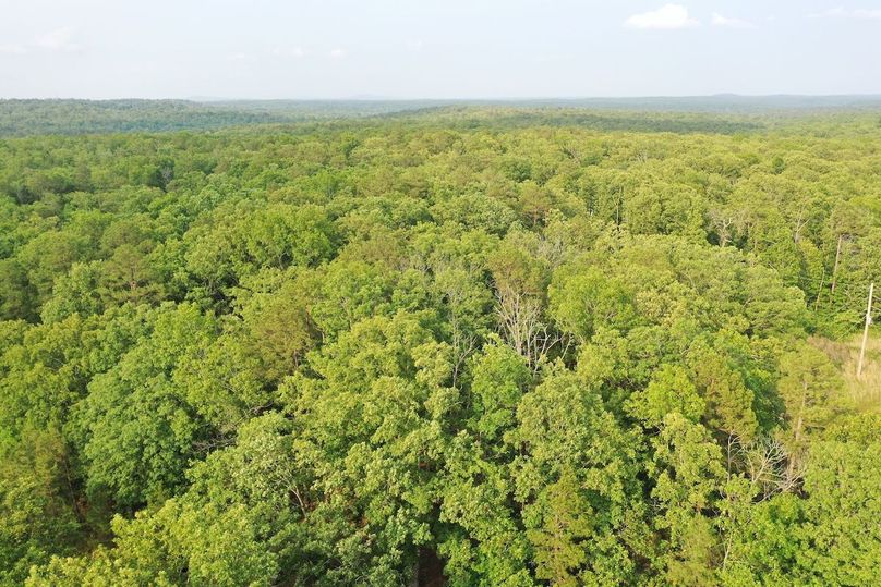 DJI_0975