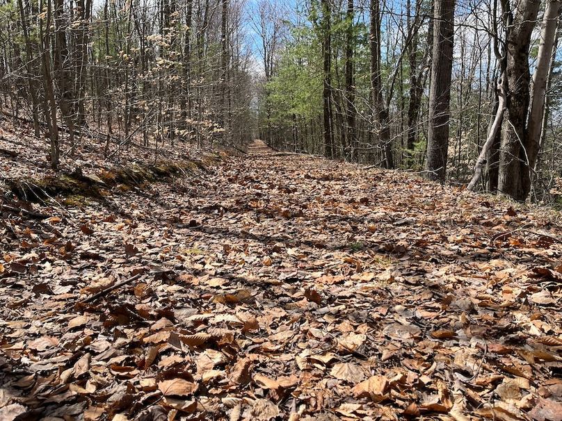 Chemung_116.3_Stamm Photo 46