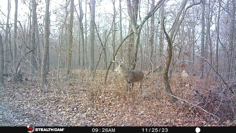 2023 best buck