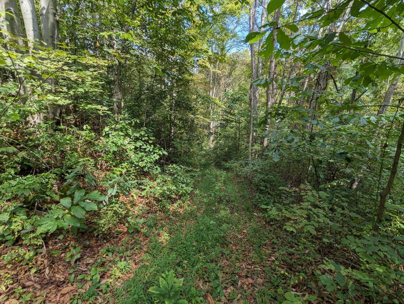 PXL_20230908_180934008