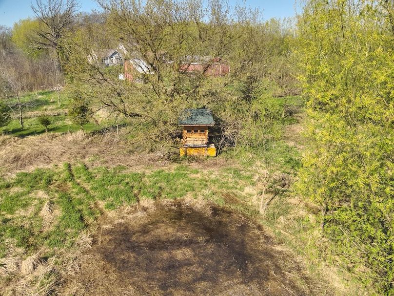 100 Custom Log Blind