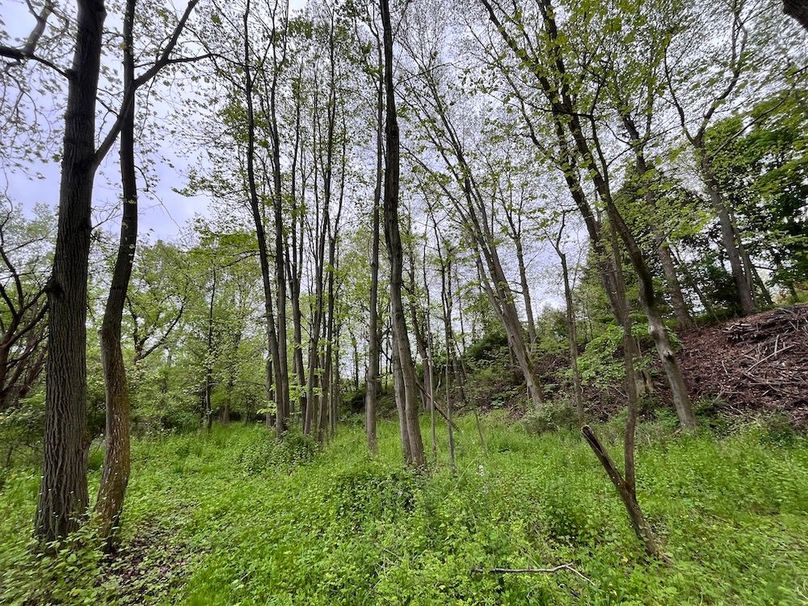 Chemung_3.5_Rouseland Photo 8