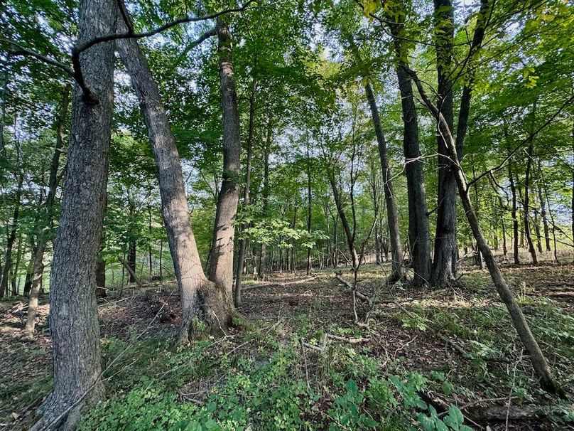 Richland 199Ground - 47