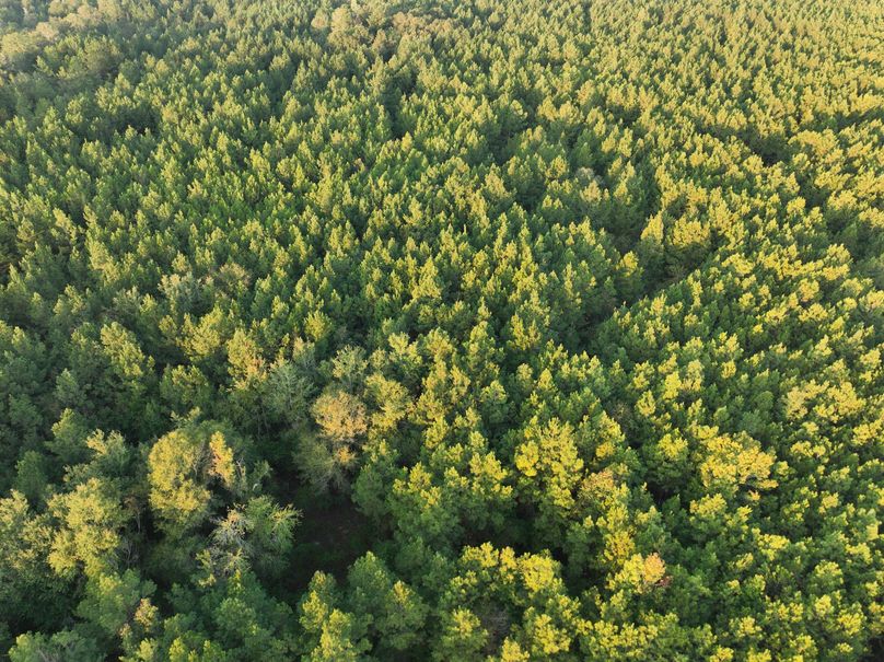 dji_fly_20230925_074810_749_1695642639635_photo