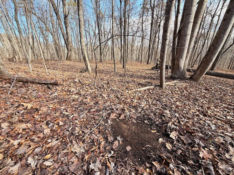 Roane Co TN 396 20251127_33