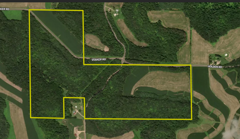 Screenshot 2024-11-13 at 1.29.41 PM