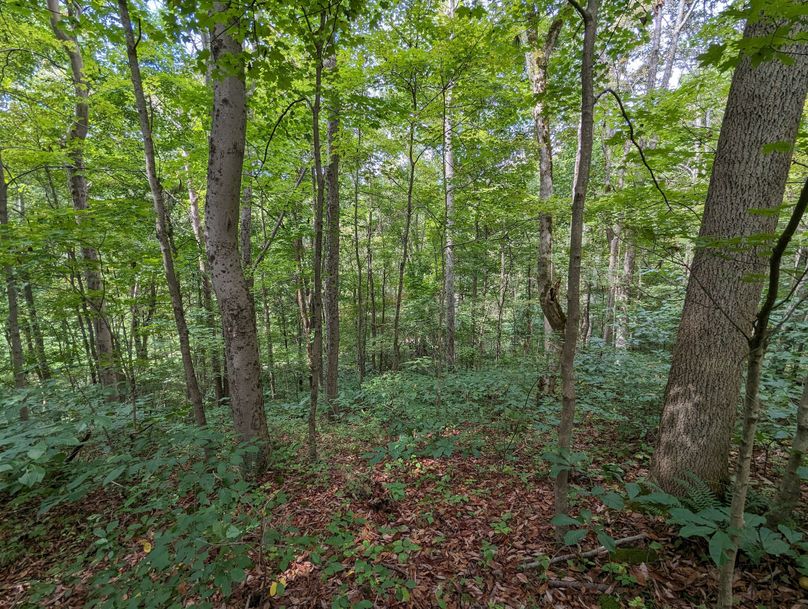 PXL_20230908_180847427