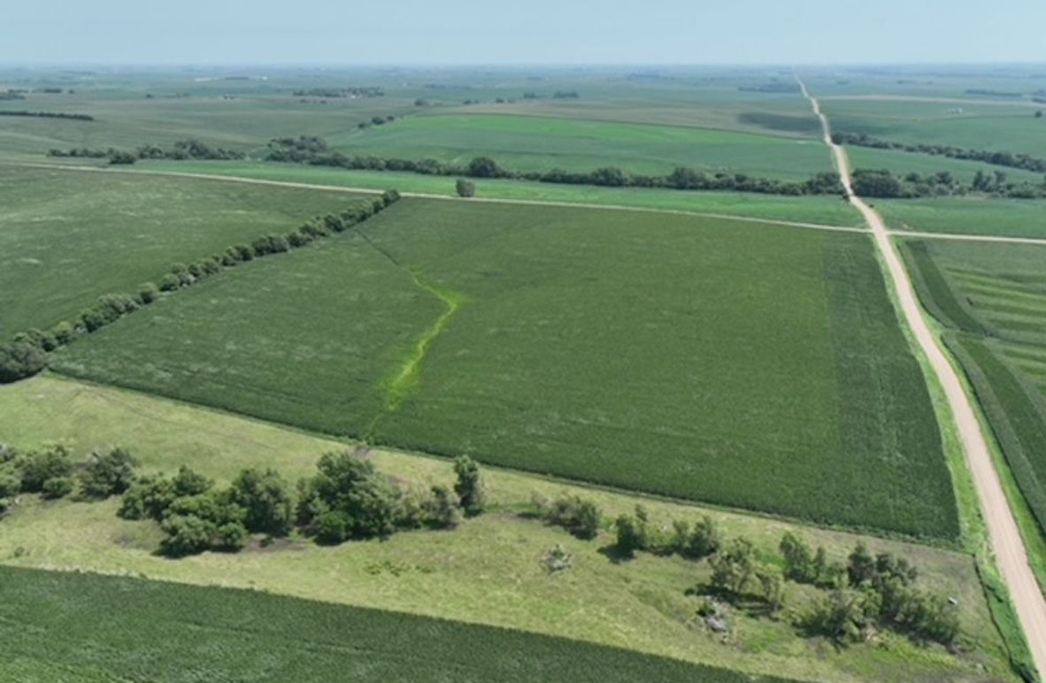 dji_fly_20250805_125138_377_1755697054675_photo