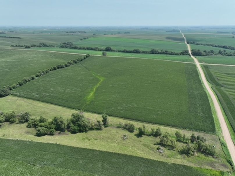 dji_fly_20250805_125138_377_1755697054675_photo